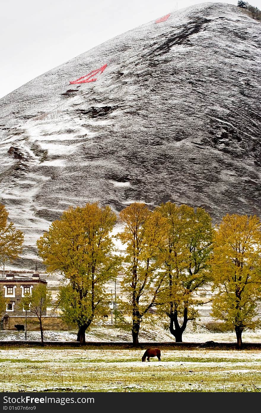 Snow view of tibetan village at Shangri-la China