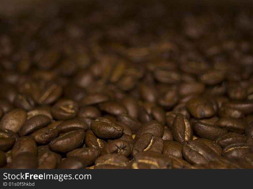 A fresh batch of coffee beans