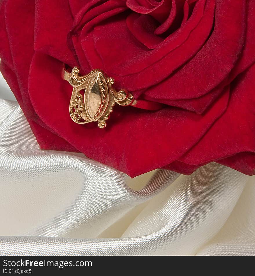 Gold ring whith red rose on white satin. Gold ring whith red rose on white satin