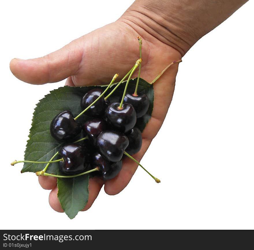 Cherries in hand