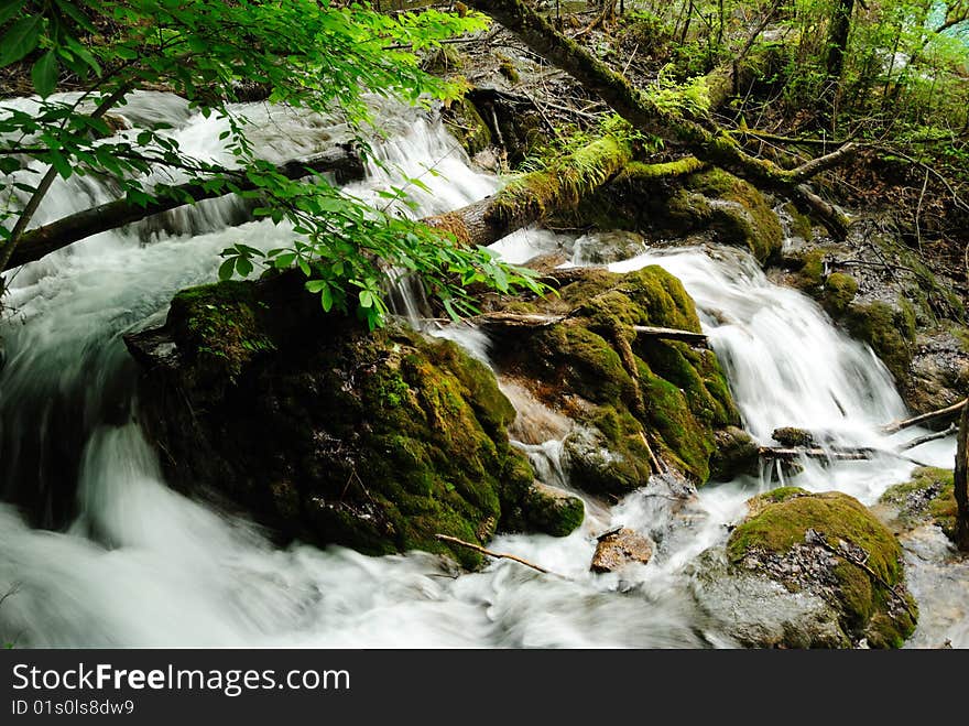 This is in Jiuzhaigou of Sichuan China, which has the most beautiful，most crystal-clear water. The brook is galloping on the stone, giving us a sense of vitality. I shot the scene at a low shutter speed so that the brook became a silk. This is in Jiuzhaigou of Sichuan China, which has the most beautiful，most crystal-clear water. The brook is galloping on the stone, giving us a sense of vitality. I shot the scene at a low shutter speed so that the brook became a silk.