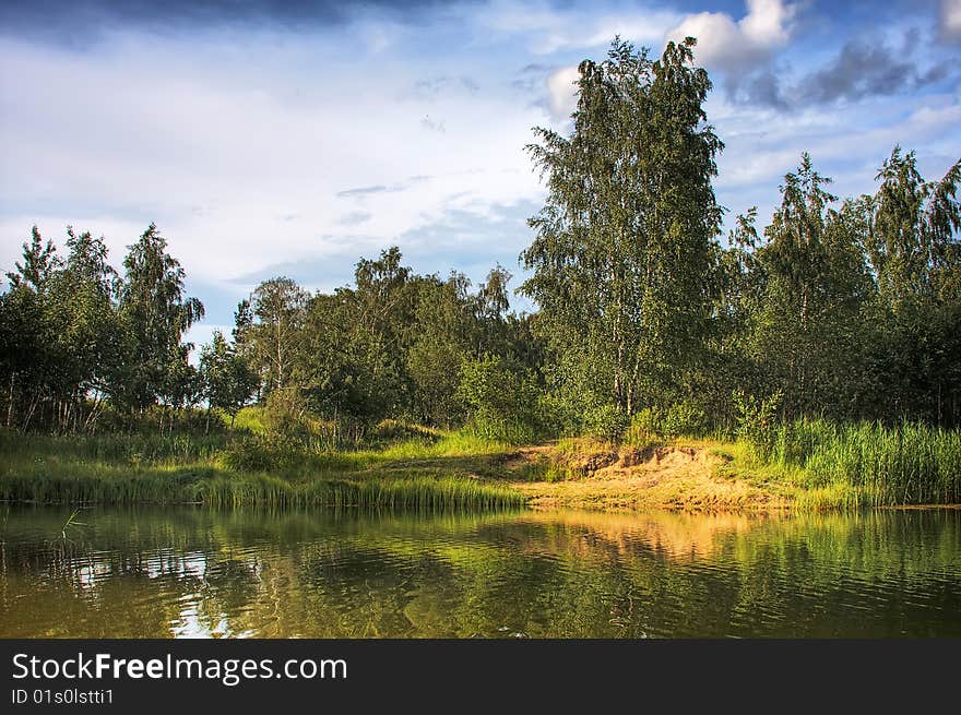 Small pond and trees behind