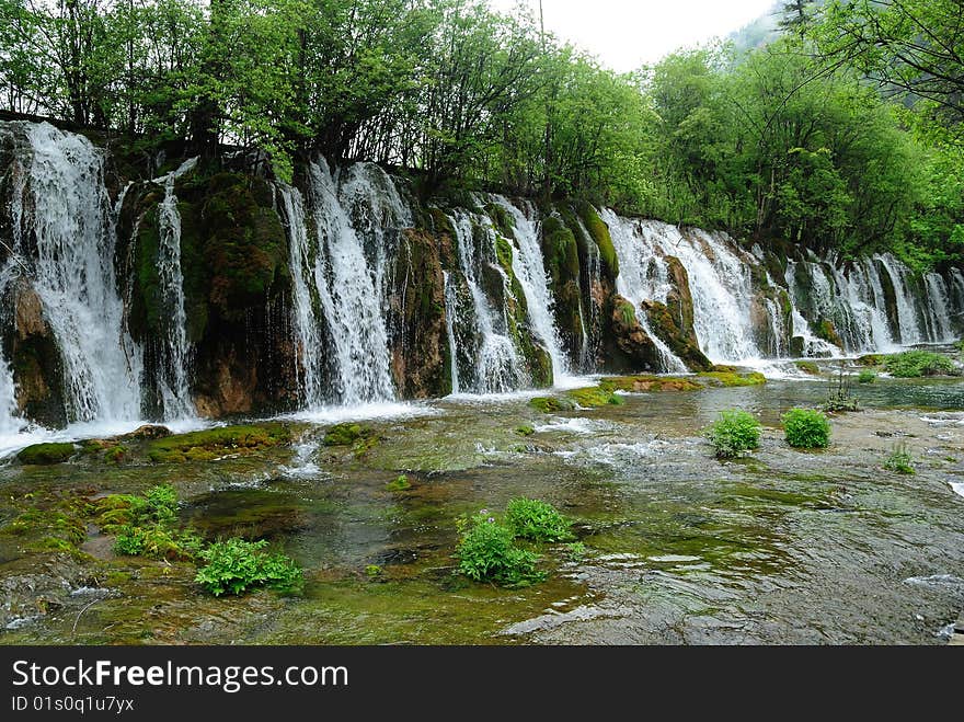 This is in Jiuzhaigou of Sichuan China, which has the most beautiful，most crystal-clear and most smooth and quiet water. The scenery is incredibly beautiful and can take your breath away. This is in Jiuzhaigou of Sichuan China, which has the most beautiful，most crystal-clear and most smooth and quiet water. The scenery is incredibly beautiful and can take your breath away.