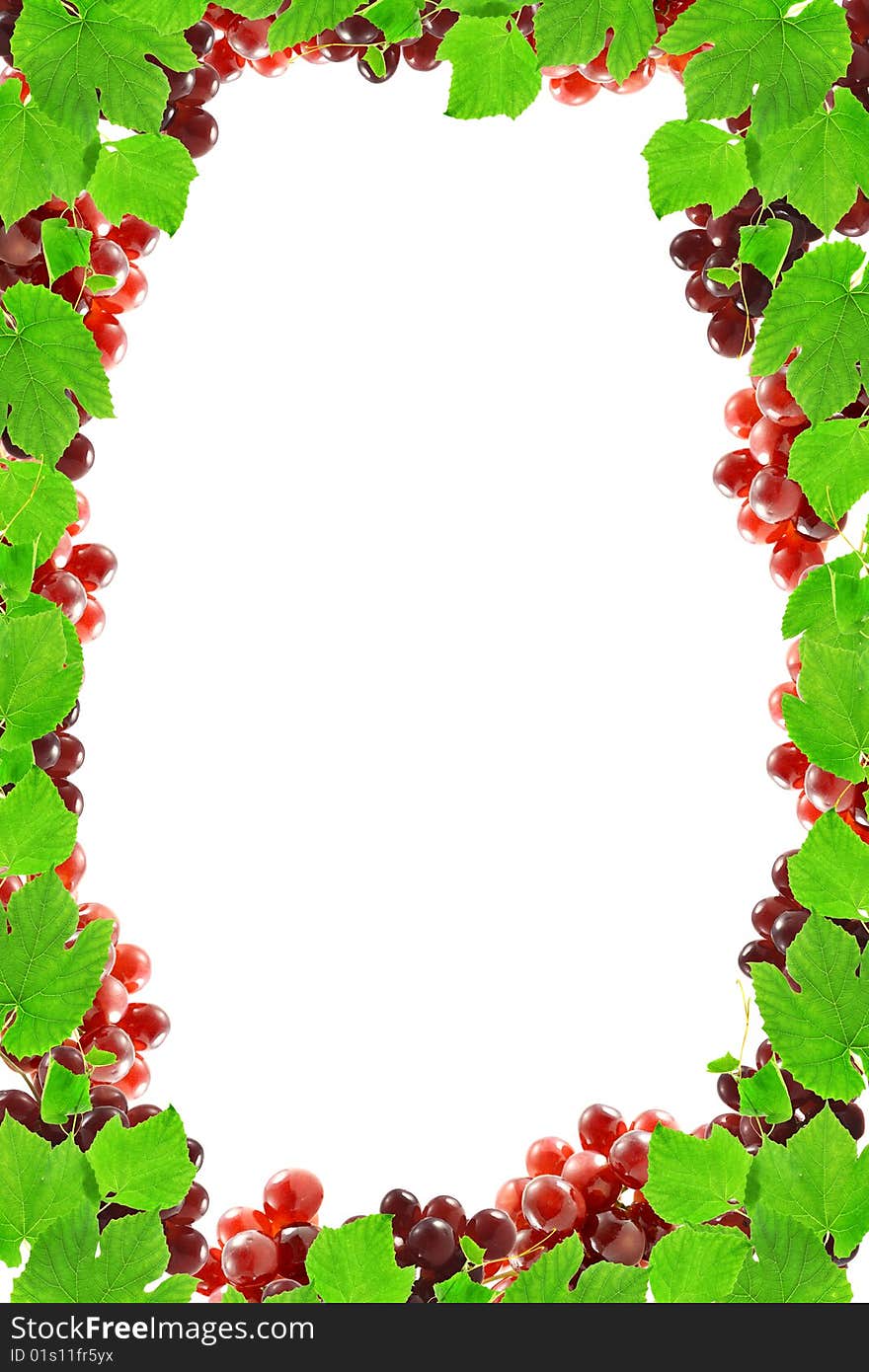 Frame from grapes with a white background,  isolated. Frame from grapes with a white background,  isolated.