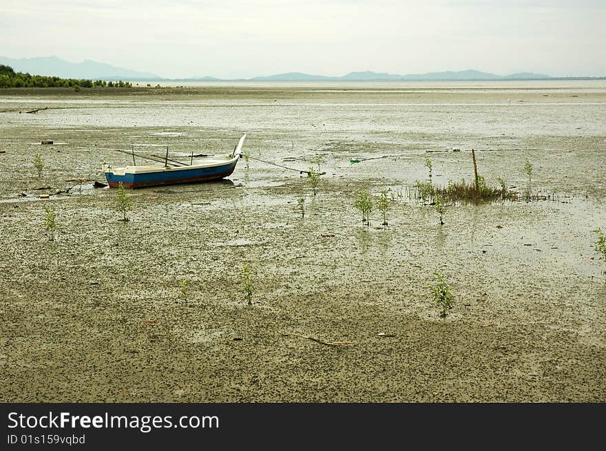 Low tide mud