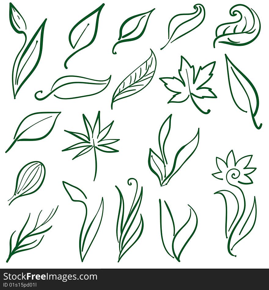 Set Of Natural Free Hand Design Elements