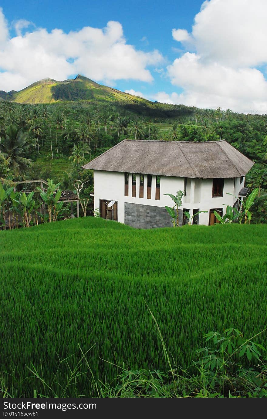 This picture was taken in Bali, Indonesia. It just looks green, fresh with a blue sky , it just feel to be nature. Beautiful foreground meadow makes it wonderful. This picture was taken in Bali, Indonesia. It just looks green, fresh with a blue sky , it just feel to be nature. Beautiful foreground meadow makes it wonderful.