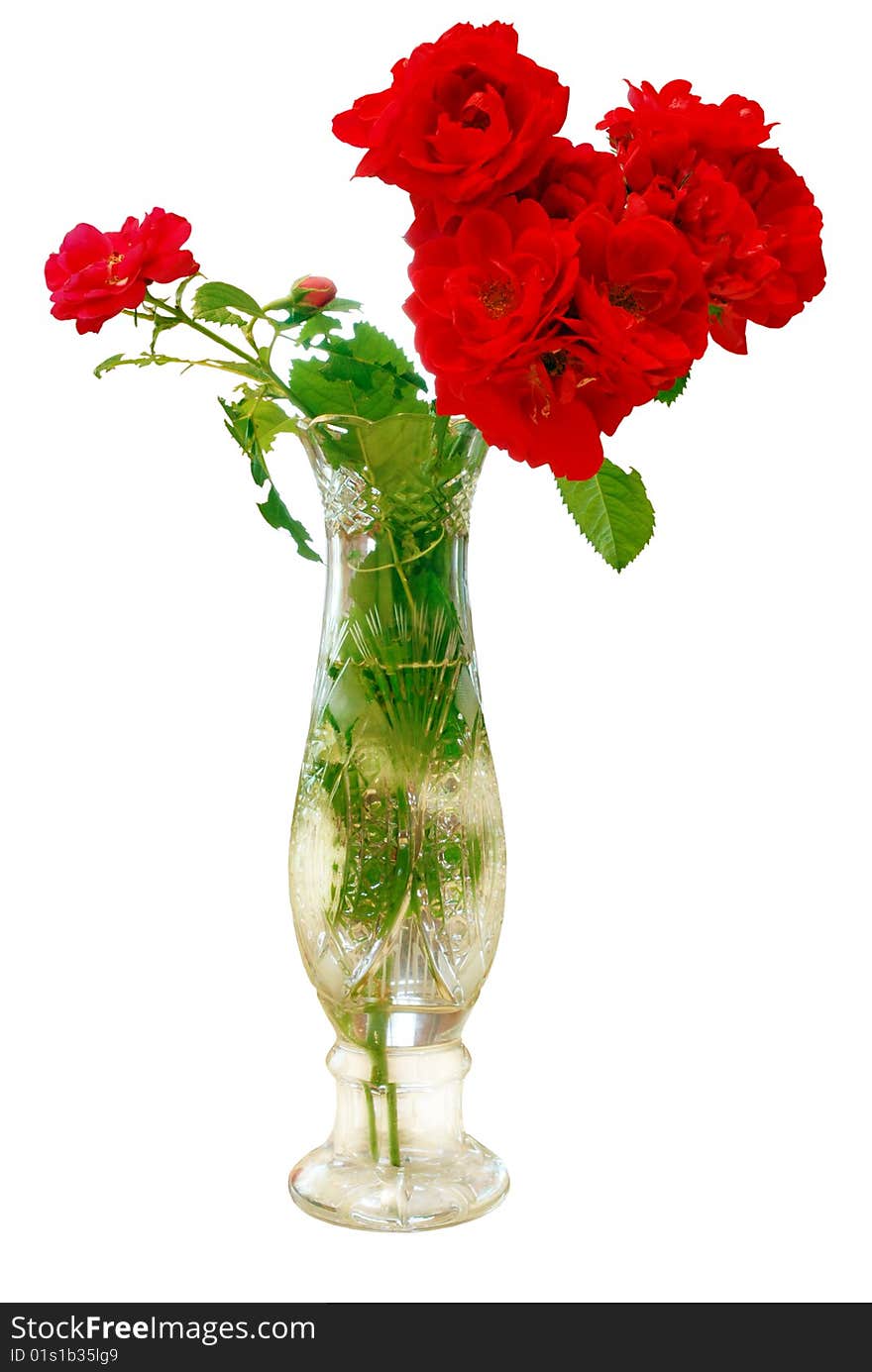 Isolated Bouquet Roses in Vase on White