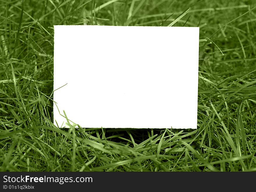 Green grass with copy space. Green grass with copy space