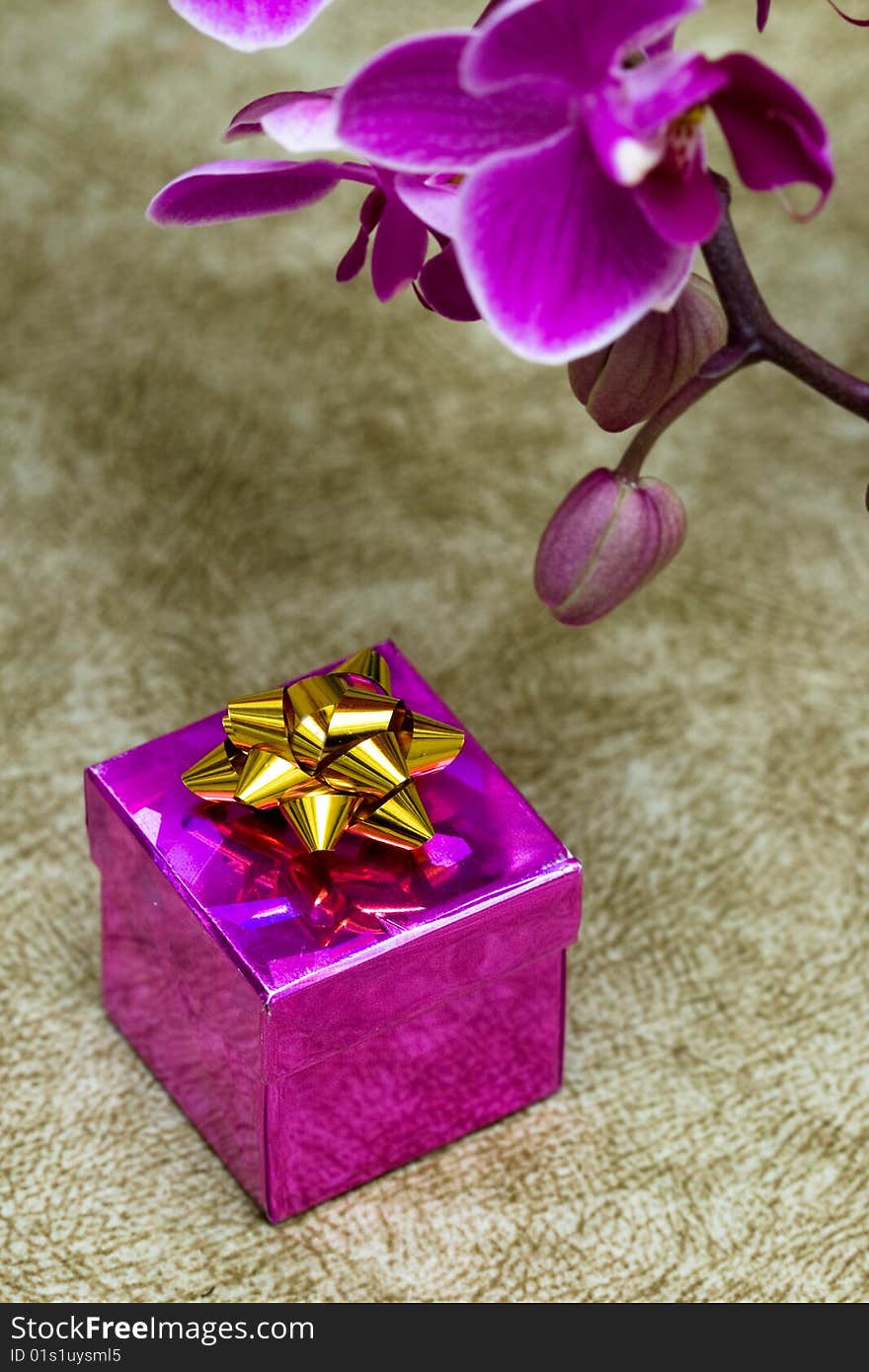 Gift Box With Orchid