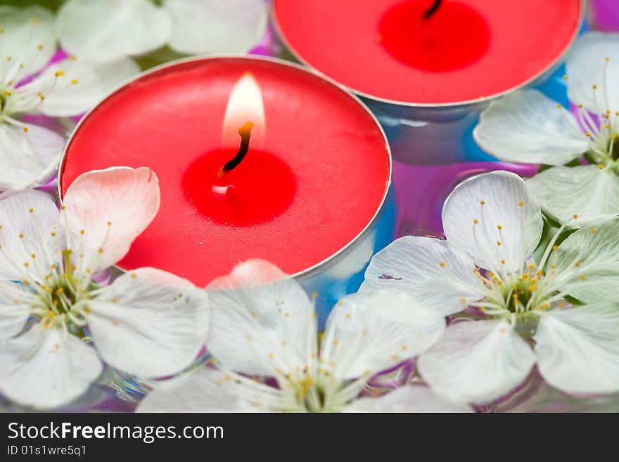 Candle with spring flowers in water