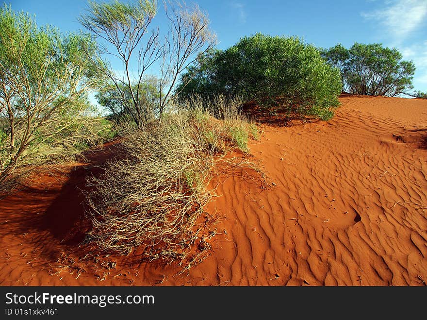 Sand dune in the Red Centre - Australian desert. Sand dune in the Red Centre - Australian desert.