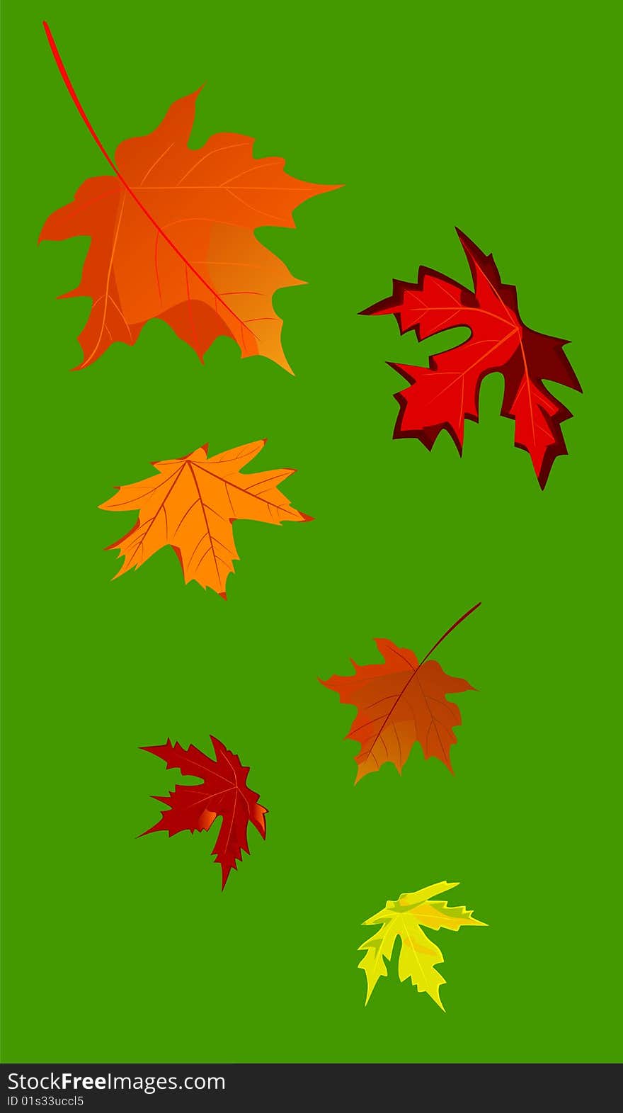 Vector illustration of an autumnal maple leaf fall on a green background. Vector illustration of an autumnal maple leaf fall on a green background