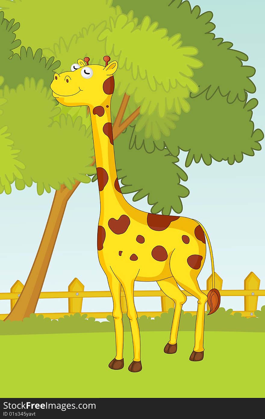 Giraffe