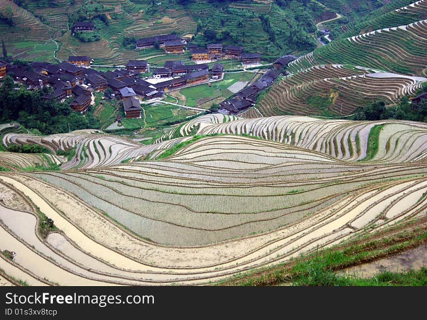 Rice terraces of yuanyang, yunnan, china