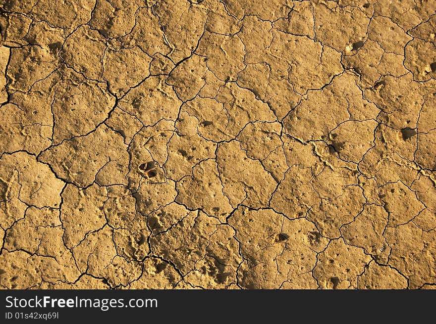 Dry earth in a desert