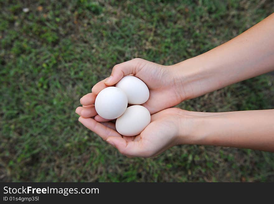 A girl holds three white eggs carefully. A girl holds three white eggs carefully