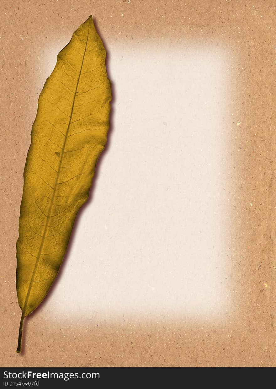 A grunge leaf on a cardboard texture background. A grunge leaf on a cardboard texture background.