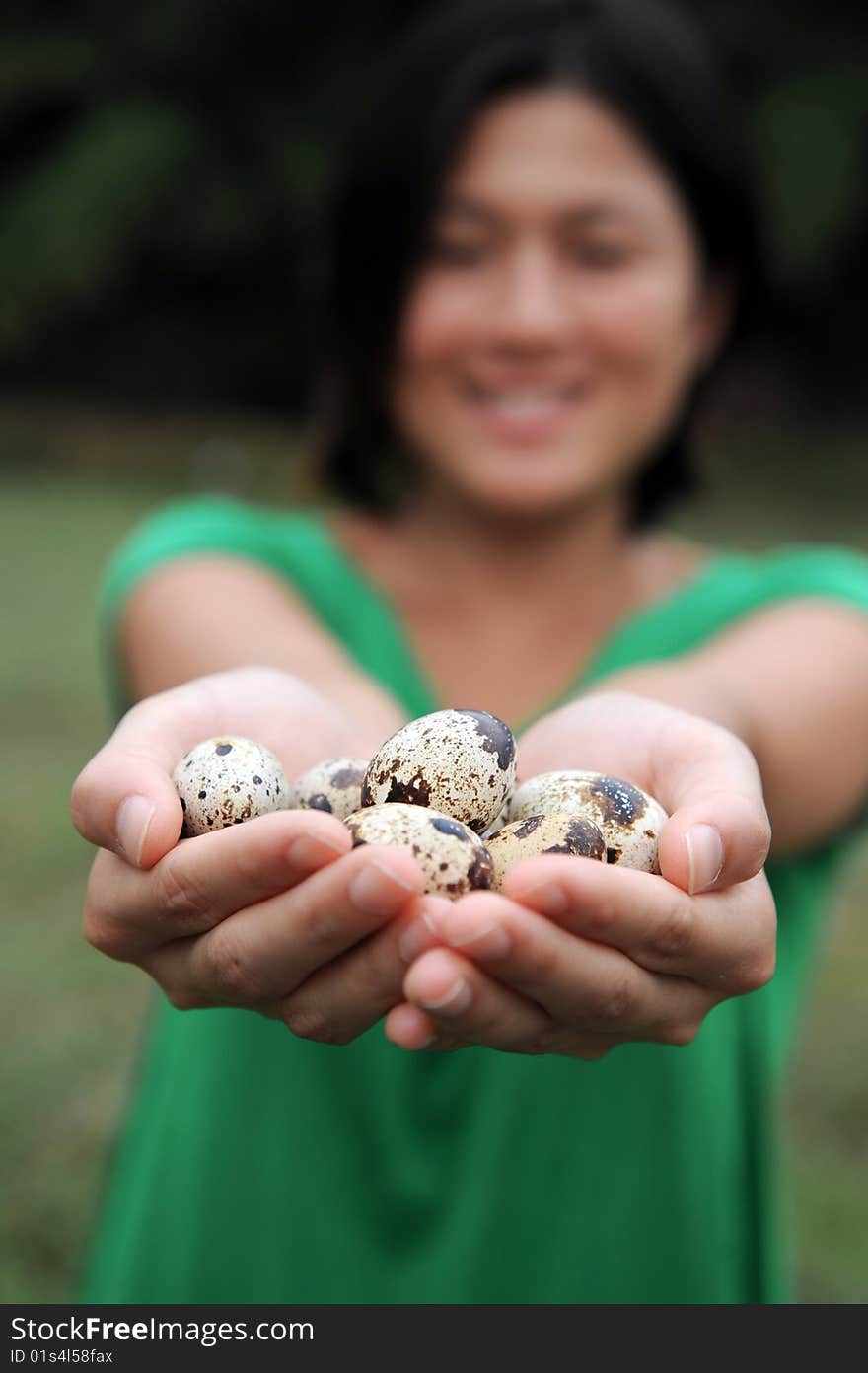 An asian girl smiles as she cradles her handful of quail eggs. An asian girl smiles as she cradles her handful of quail eggs