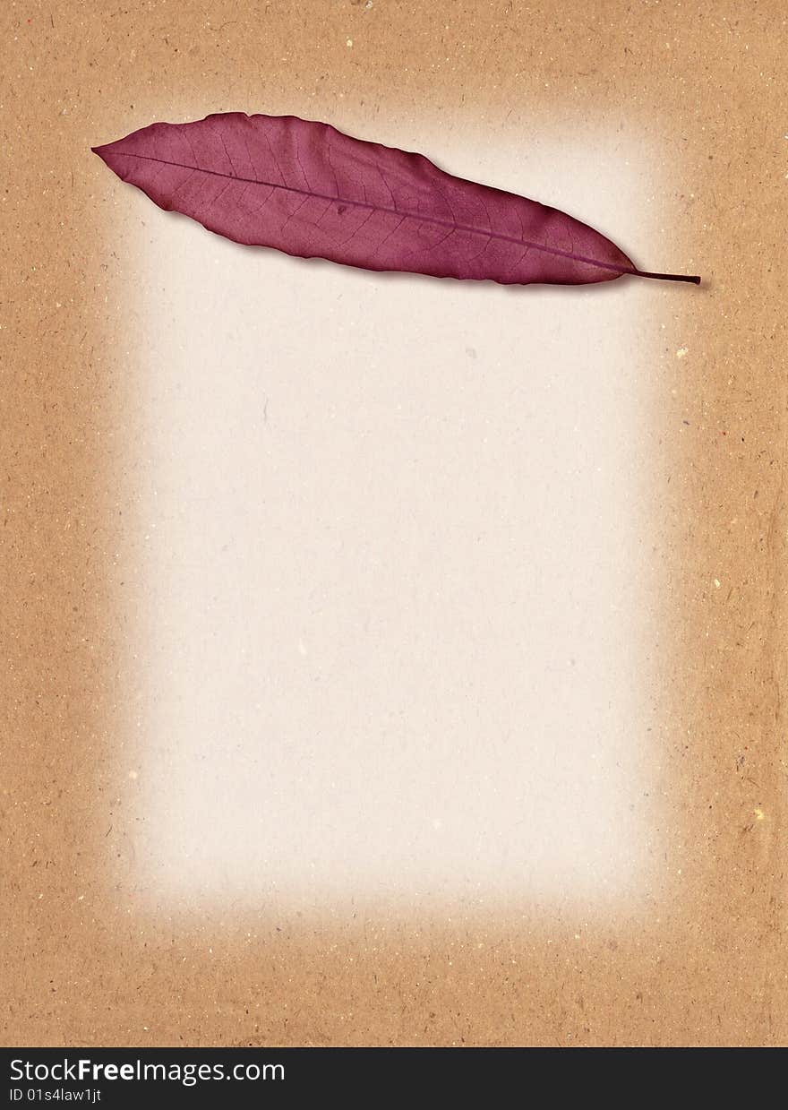 A grunge leaf on a cardboard texture background. A grunge leaf on a cardboard texture background.