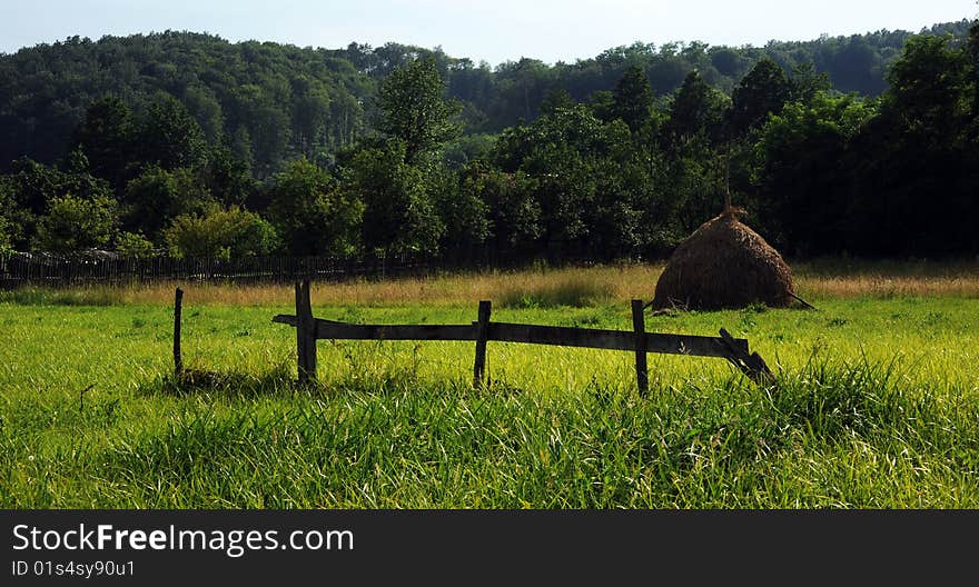 Hay piles