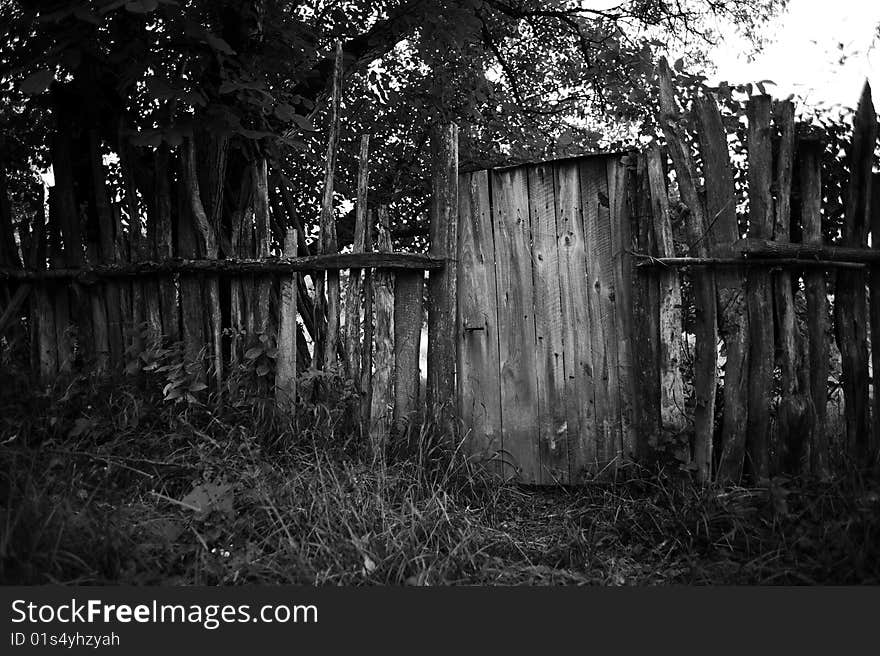 Old wooden fence with trees in the background