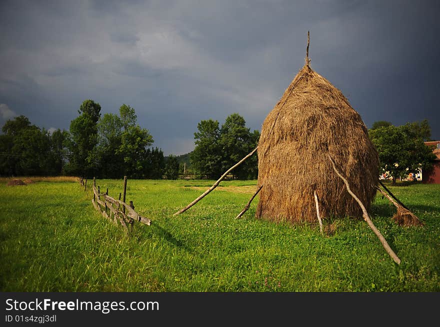 Hay Piles