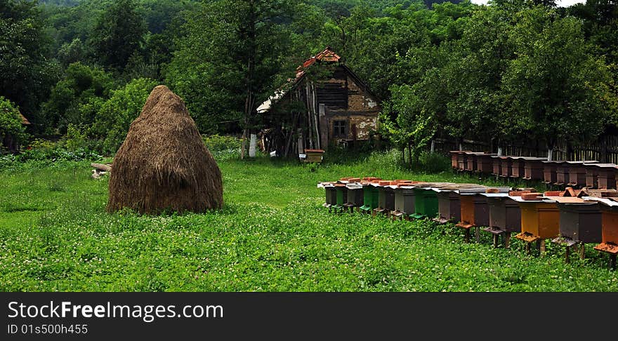 Old Hut In Country Landscape