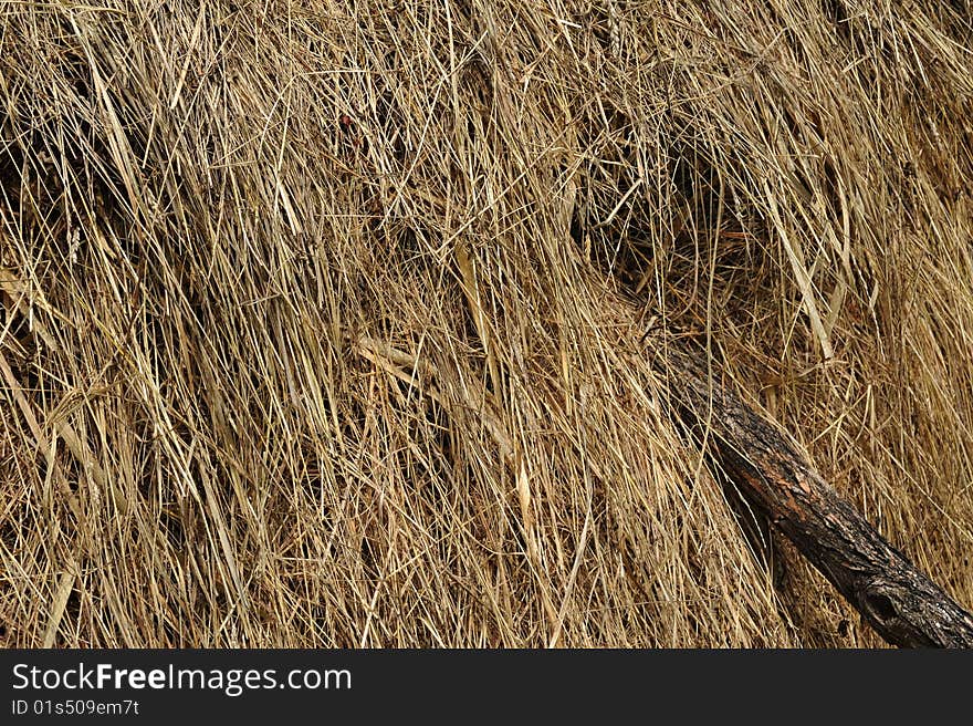 Hay piles