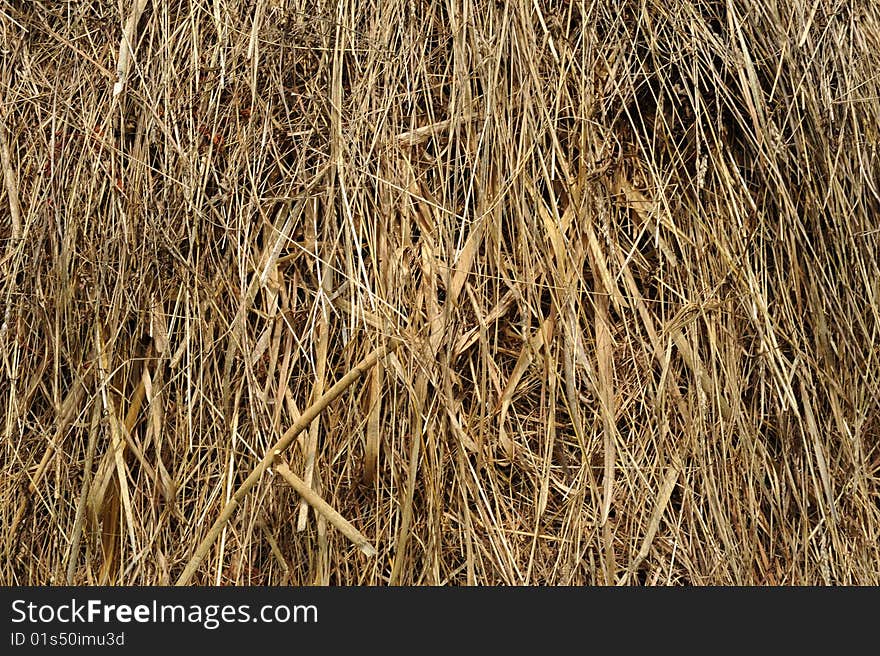 Hay piles in a country landscape