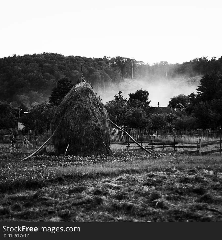 Hay piles