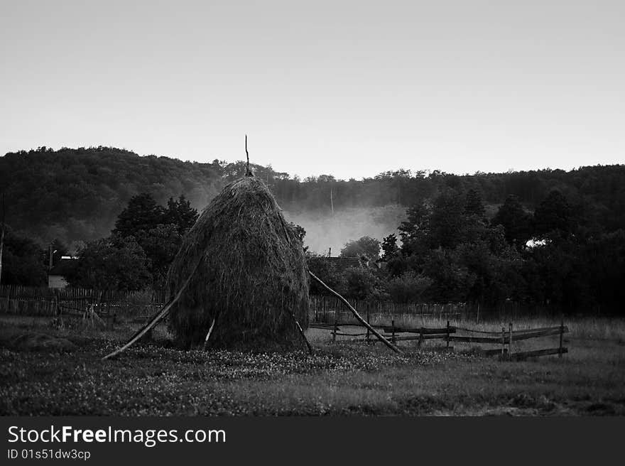 Hay piles