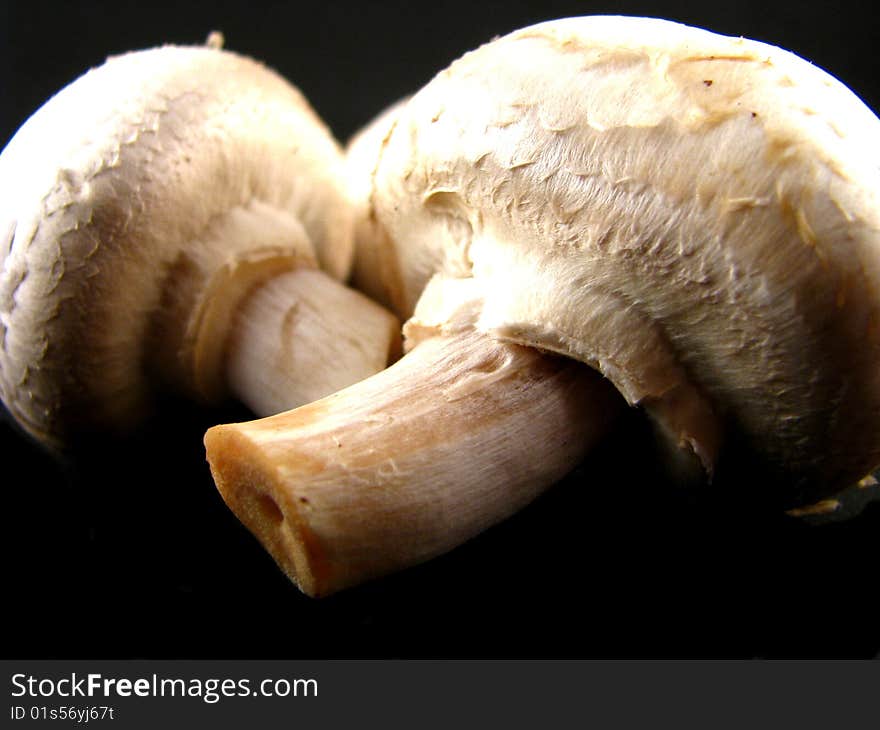 Two fresh, raw white button mushrooms on a black background