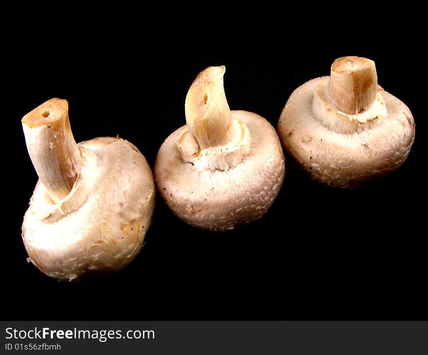 Three fresh, raw white button mushrooms on a black background