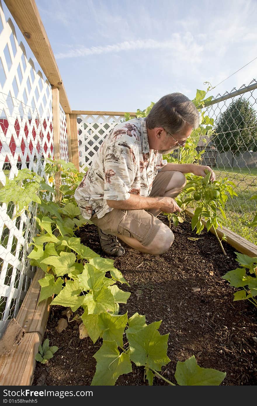 Gardening