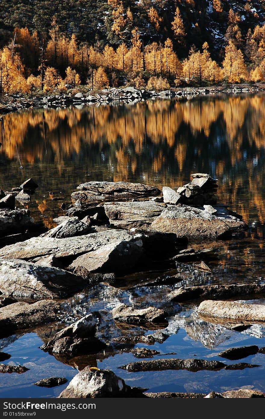 Lake in autumn