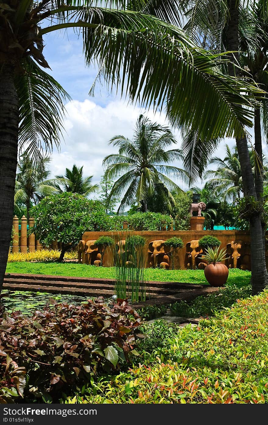 Tropical garden