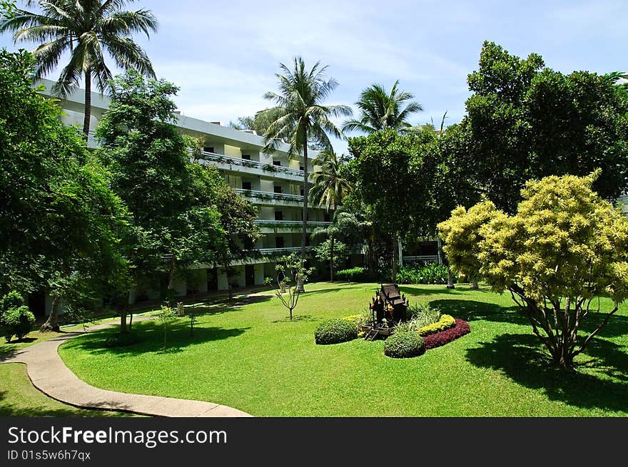 Tropical Garden