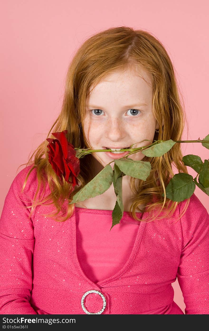 Young girl is holding a red rose between her teeth on pink