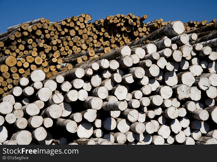 Logs storage in the plywood factory in Sankt Petersburg Russia