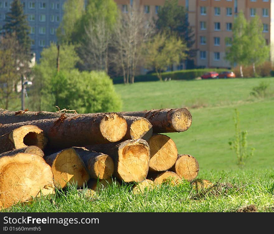 Timber logs