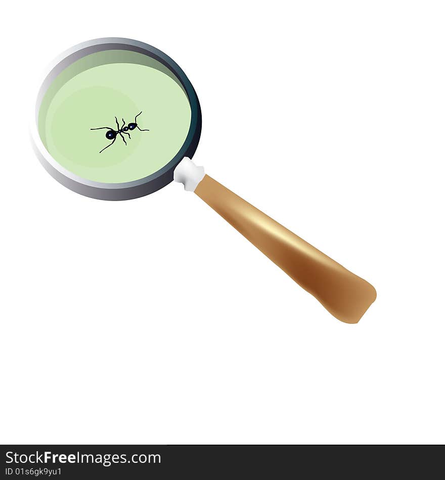 Bug searching Magnification glass and small ant