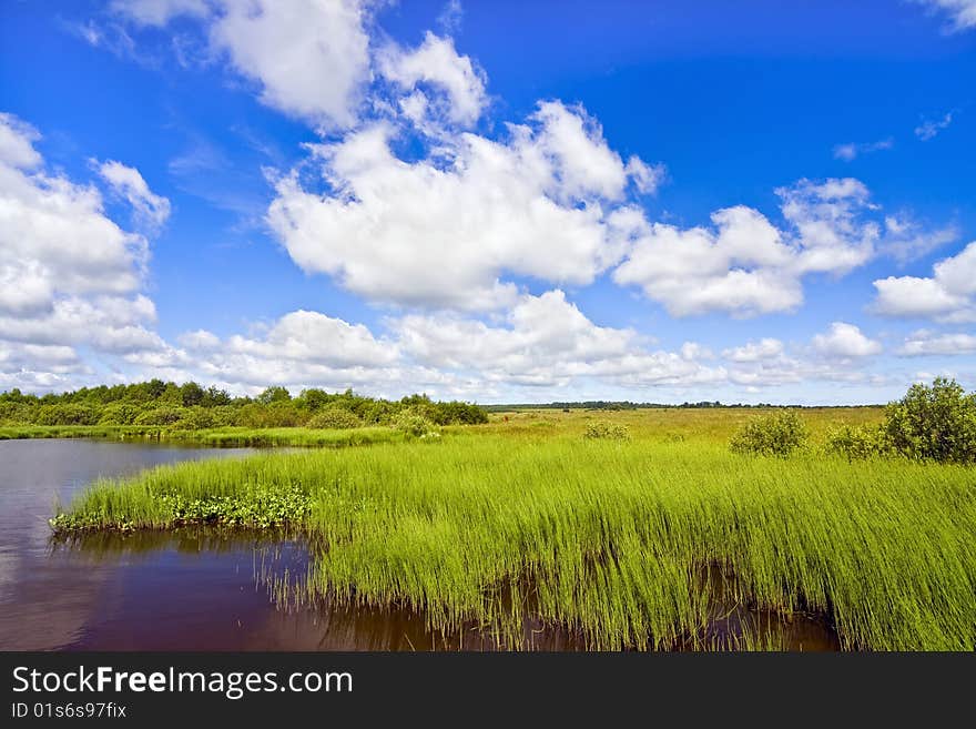 On the shores of Lake