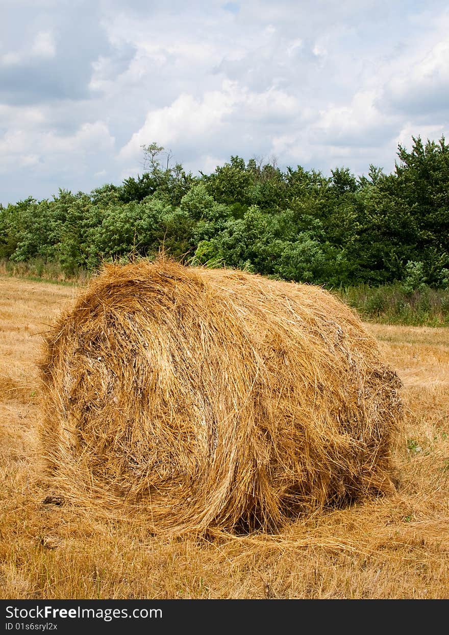 Single Haycock On The Field.