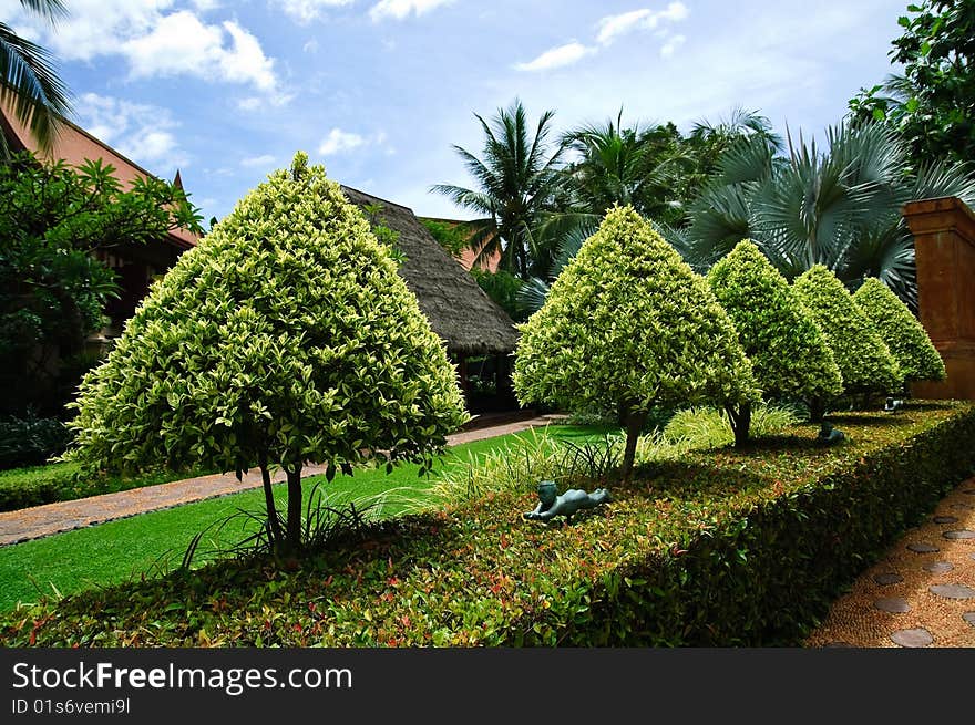 Tropical Garden