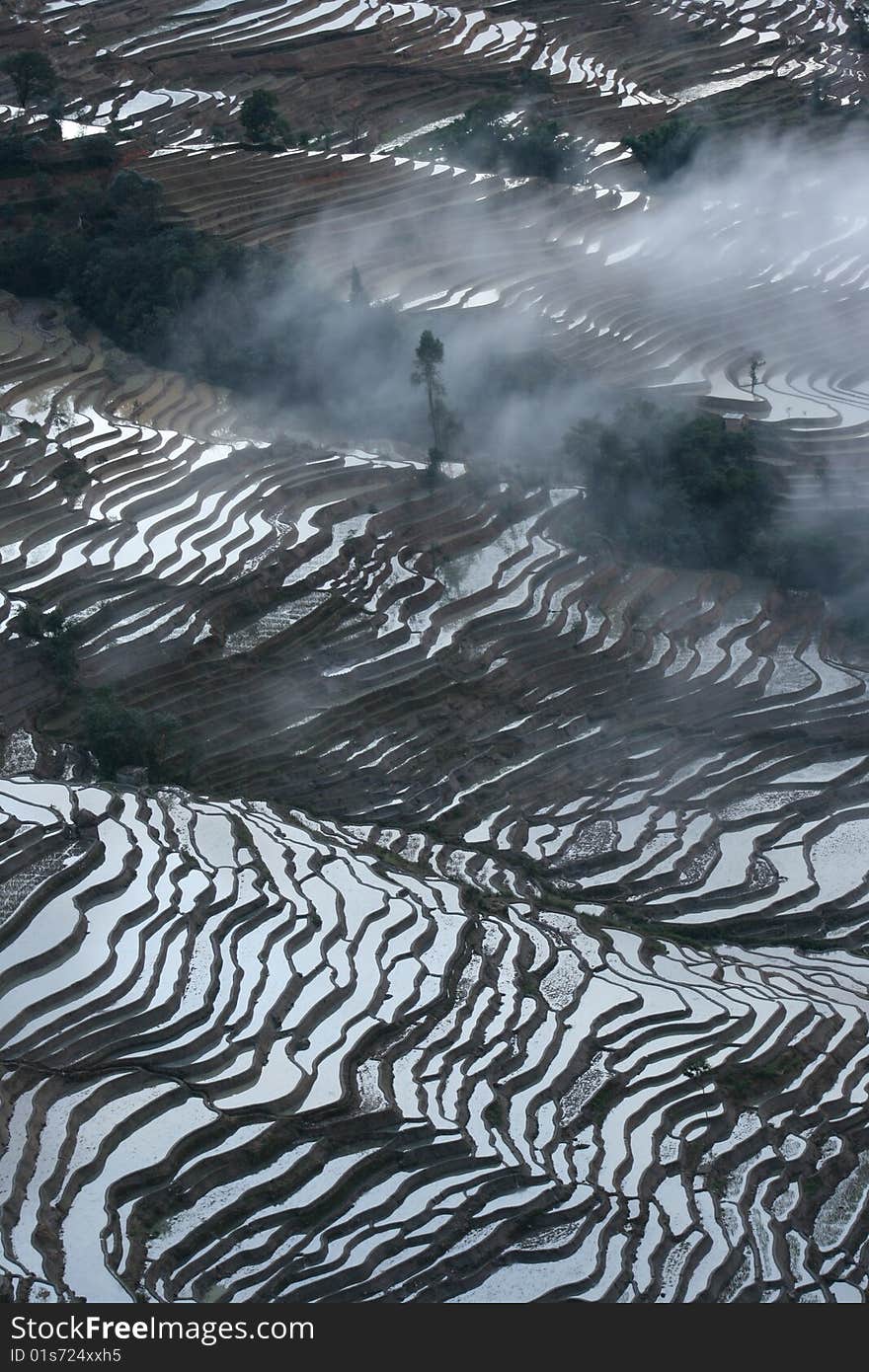 Sky reflected on rice terraces' water, Yuanyang, China