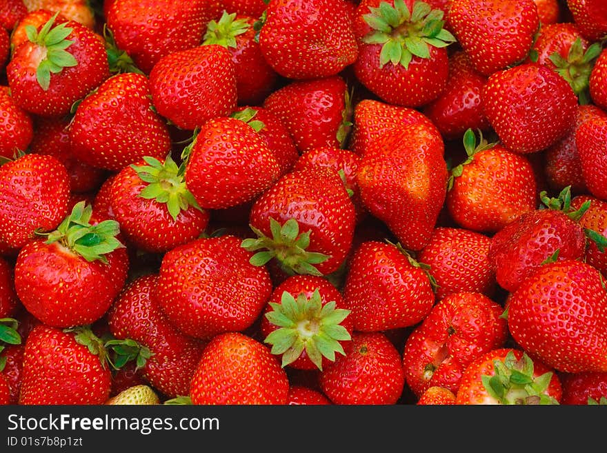 Fresh Strawberries.