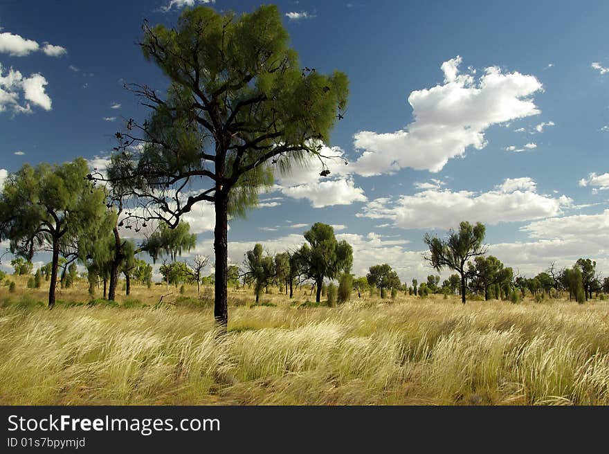 View of the Red Centre - Australian desert. View of the Red Centre - Australian desert.