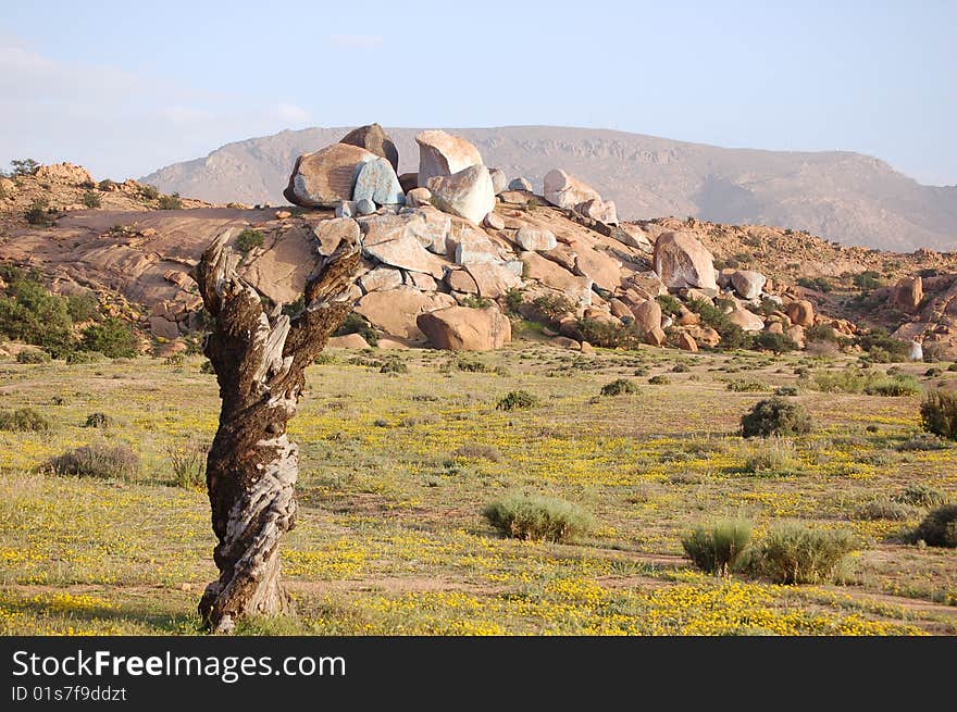 Desert of stones near Tafrou Region of Marocco. Desert of stones near Tafrou Region of Marocco