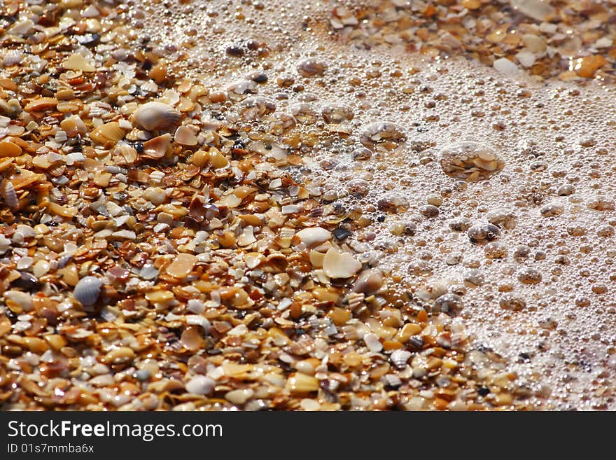 Seashells in the sea bubbles on the beach. Seashells in the sea bubbles on the beach